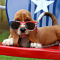 Happy 4th of July!